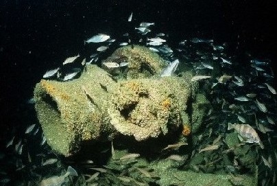 Plonge sur l'pave du DAN au large de Belle-Ile-en-Mer (Bretagne)